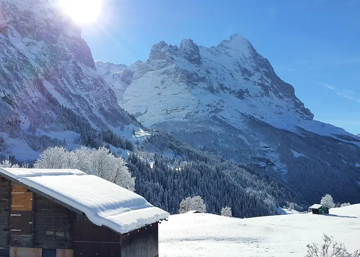 Lohnerhus-2 By Interhome Apartman Grindelwald