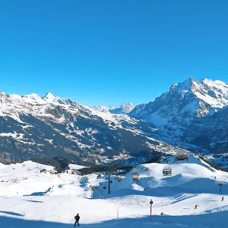 Lohnerhus-2 By Interhome Grindelwald